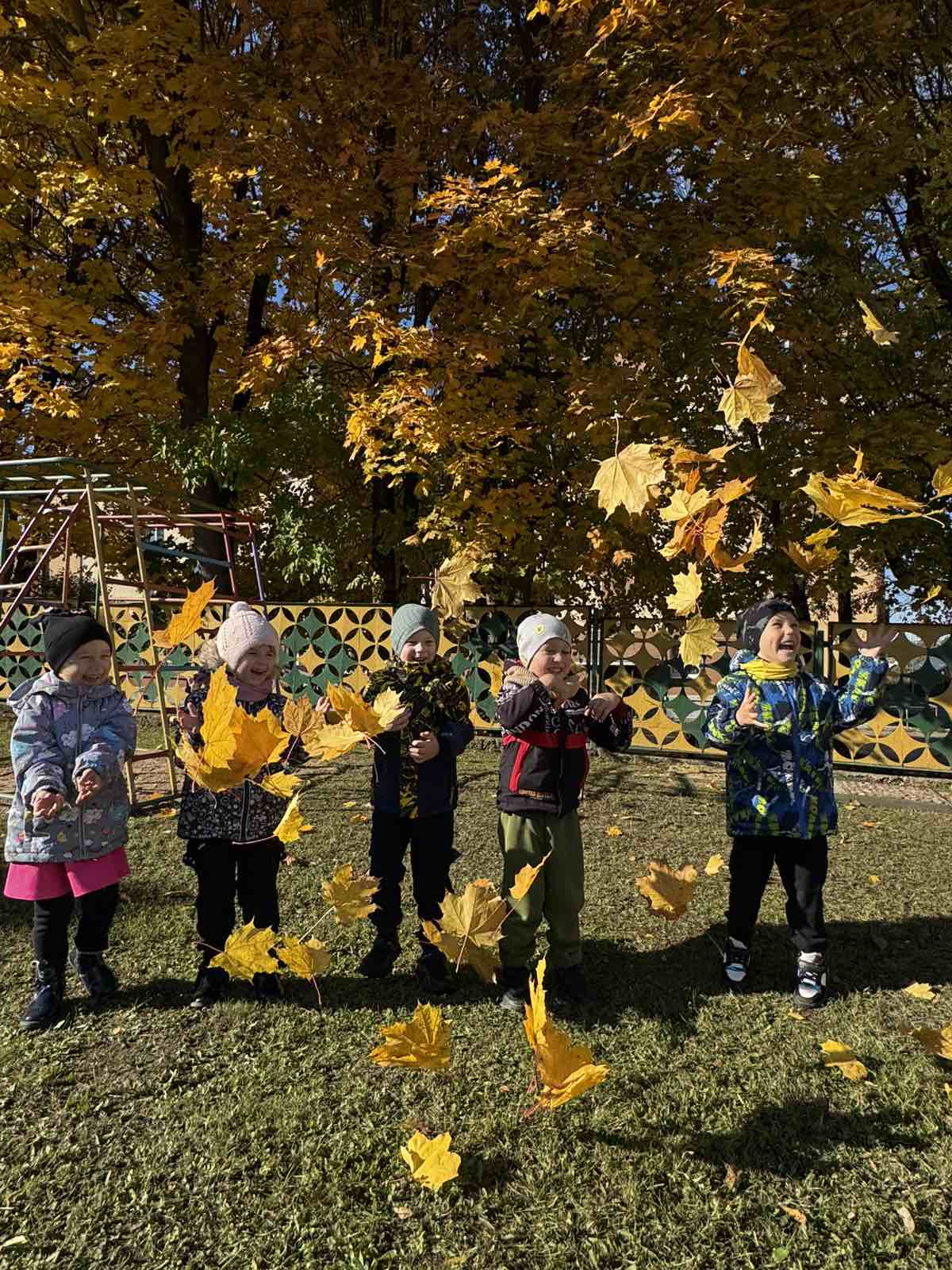 Осень на участке детского сада 🍁